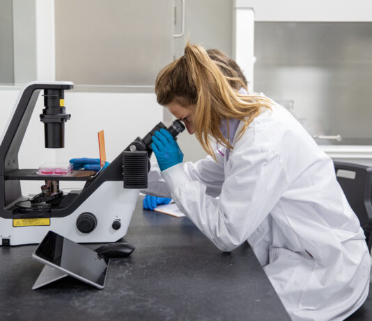 Zellkultur-Mikroskop. © PL BioScience GmbH