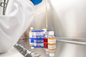 Vorbereitung am Labortisch mit ELAREM™ Perform. © PL BioScience GmbH