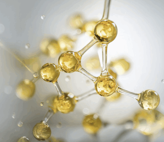 Canify AG startet Privatplatzierung