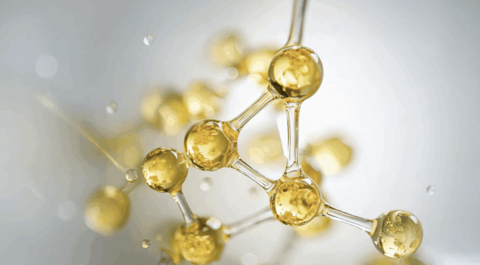 Canify AG startet Privatplatzierung