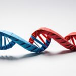 Symbolbild. "A vibrant representation of DNA showcasing creativity in origami art." Copyright: nose - stock.adobe.com