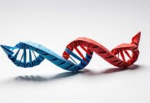 Symbolbild. "A vibrant representation of DNA showcasing creativity in origami art." Copyright: nose - stock.adobe.com