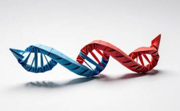 Amplifold: 5 Mio. EUR für DNA-Origami-Schnelltests Symbolbild. "A vibrant representation of DNA showcasing creativity in origami art." Copyright: nose - stock.adobe.com