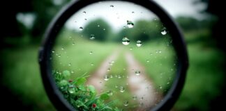 Zur EU-Bioökonomiestrategie: „Findings are not bindings“ Close up of raindrops on a magnifying glass revealing a blurred green path and foliage. Copyright: BOJOShop - stock.adobe.com