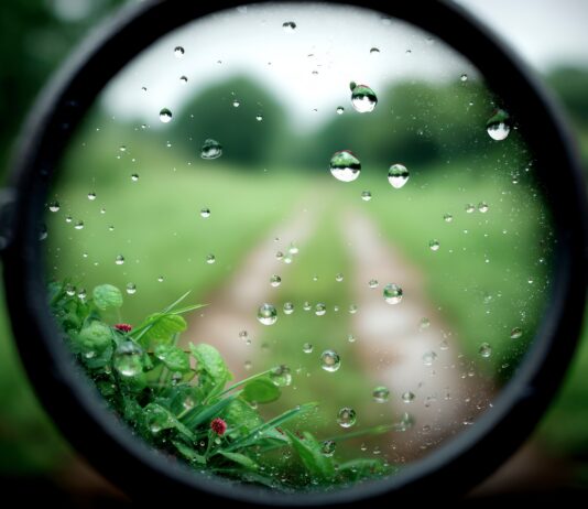 Zur EU-Bioökonomiestrategie: „Findings are not bindings“ Close up of raindrops on a magnifying glass revealing a blurred green path and foliage. Copyright: BOJOShop - stock.adobe.com