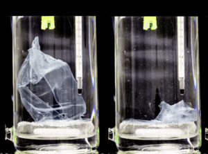 Der enzymatische Hydrolyseprozess (siehe Bild) von ESTER Biotech ermöglicht eine effiziente Depolymerisation aller Arten von Polyestern (z. B. PET, PLA, PBS, PBAT und TPS). Der Prozess erfordert einen geringen Energieaufwand, wird unter Umgebungsdruck durchgeführt und ist unkompliziert, was ihn nachhaltig und kostengünstig macht. Im Vergleich zu anderen enzymatischen Recyclinglösungen kann das Unternehmen schnellere Reaktionszeiten erzielen, das es ein günstigeres Enzymverhältnis durch den Einsatz seiner hochleistungsfähigen Enzyme anwendet. Copyright: ESTER Biotech