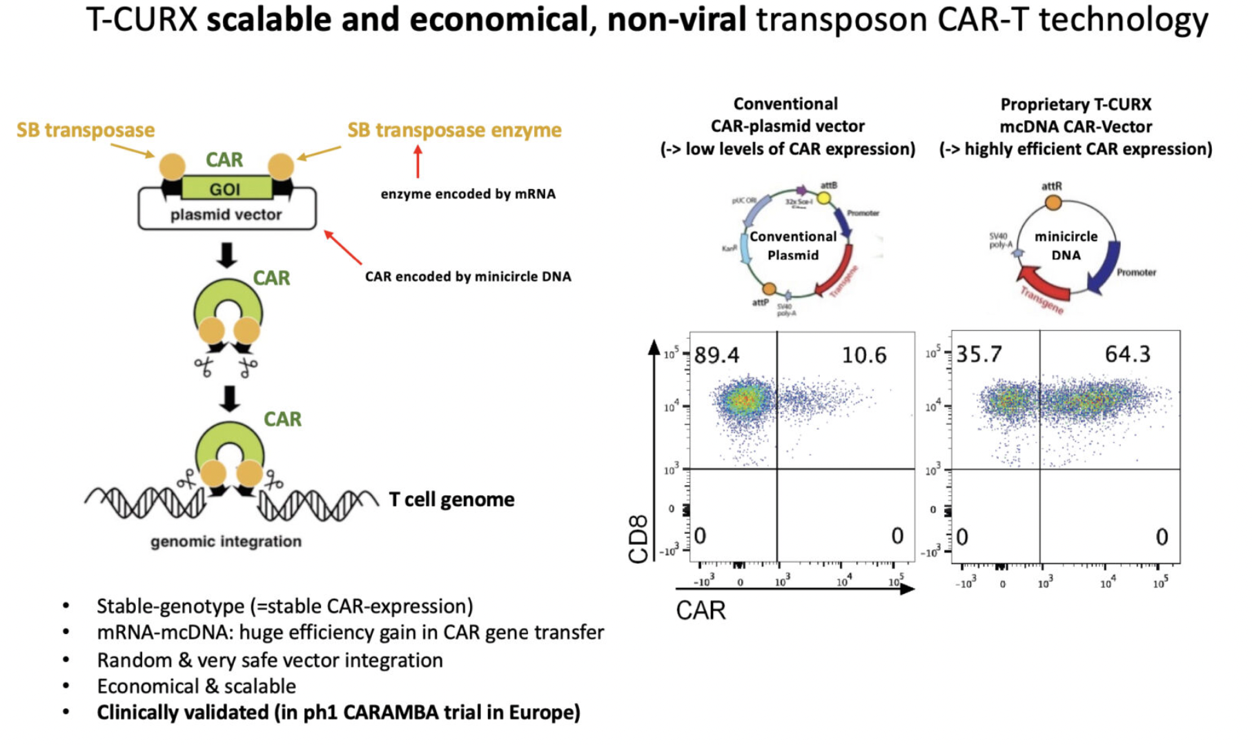 Quelle und Copyright: T-CURX