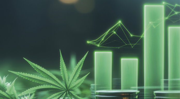 Cannabis und Börse