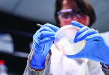 Symbolbild QIAGEN. S_1232_0_LS_GG_QIAseq_xHYB_Viral_Bacterial_Panels_Launch. Copyright Foto: QIAGEN