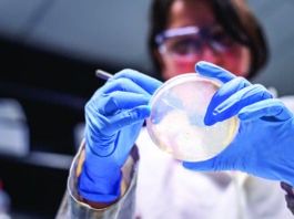 Symbolbild QIAGEN. S_1232_0_LS_GG_QIAseq_xHYB_Viral_Bacterial_Panels_Launch. Copyright Foto: QIAGEN