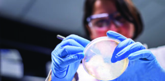 Symbolbild QIAGEN. S_1232_0_LS_GG_QIAseq_xHYB_Viral_Bacterial_Panels_Launch. Copyright Foto: QIAGEN