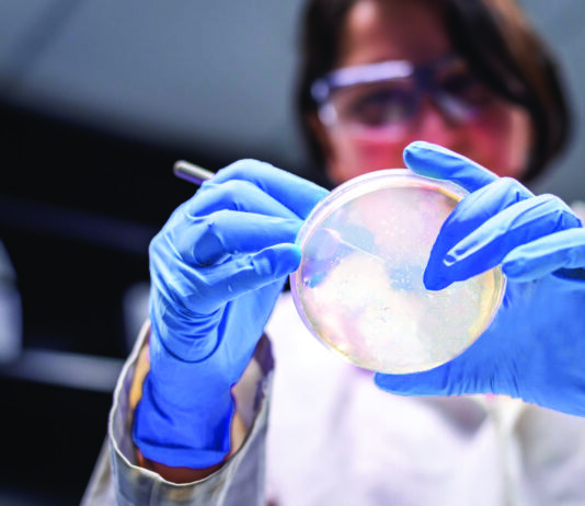 Qiagen überzeugt mit 2025er-Zahlen Symbolbild QIAGEN. S_1232_0_LS_GG_QIAseq_xHYB_Viral_Bacterial_Panels_Launch. Copyright Foto: QIAGEN