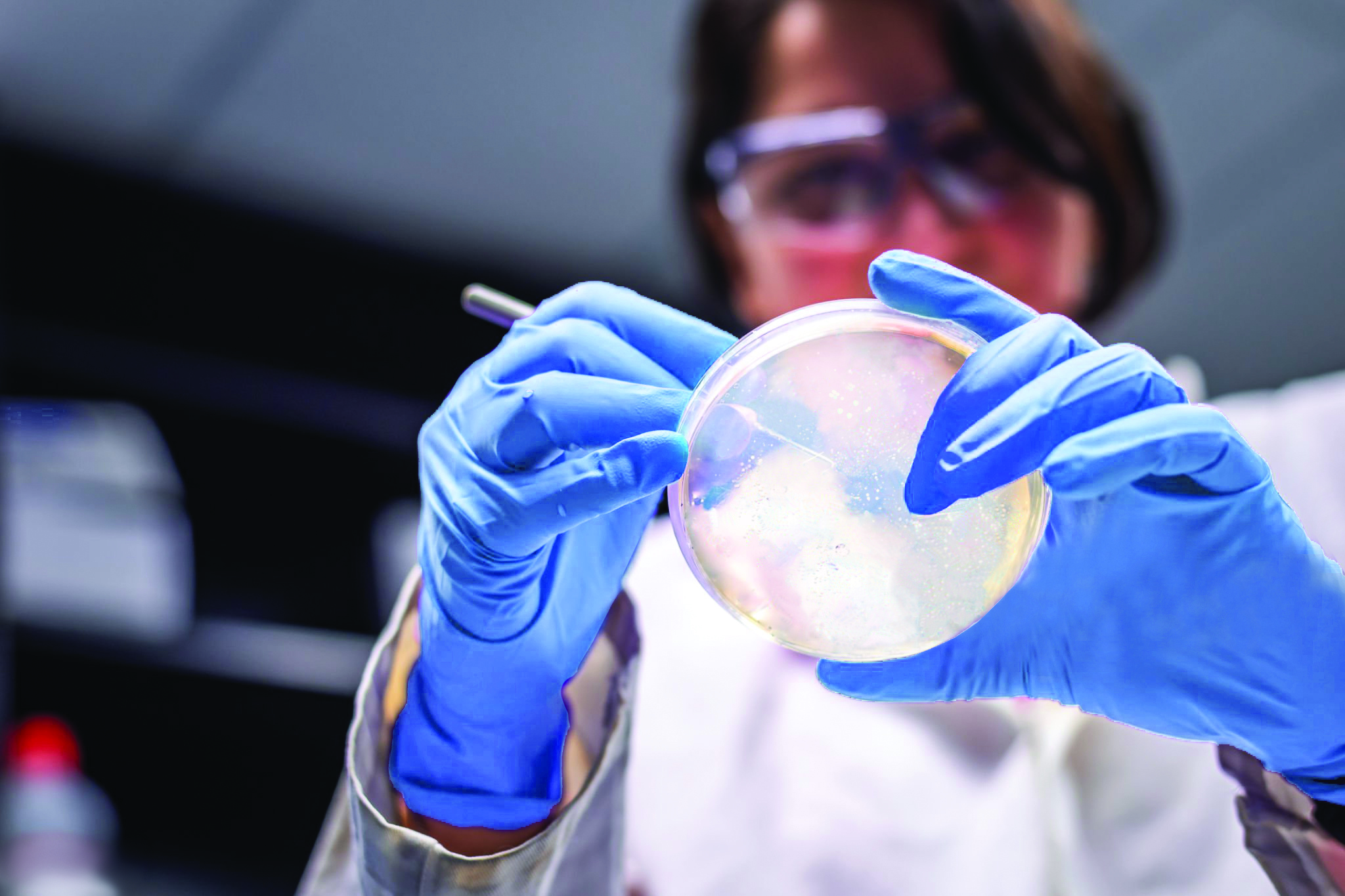 Qiagen-berzeugt-mit-2025er-Zahlen