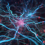 Newron verschafft sich frisches Geld Symbolbild. Abstract background with lights 3d Rendered Neuron Network with Electrical Impulses Detailed Neuron Cell Structure with Glowing Connections. Copyright: Darya Pol - stock.adobe.com