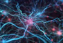 Symbolbild. Abstract background with lights 3d Rendered Neuron Network with Electrical Impulses Detailed Neuron Cell Structure with Glowing Connections. Copyright: Darya Pol - stock.adobe.com