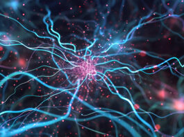 Symbolbild. Abstract background with lights 3d Rendered Neuron Network with Electrical Impulses Detailed Neuron Cell Structure with Glowing Connections. Copyright: Darya Pol - stock.adobe.com