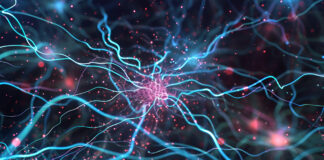 Symbolbild. Abstract background with lights 3d Rendered Neuron Network with Electrical Impulses Detailed Neuron Cell Structure with Glowing Connections. Copyright: Darya Pol - stock.adobe.com