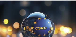 CSRD-Umsetzung in Deutschland