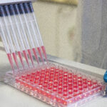 Immunic: frisches Geld, potenzieller Megaseller