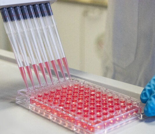 Immunic: frisches Geld, potenzieller Megaseller