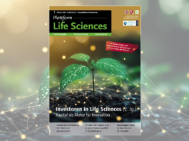 Titelbild. Copyright: Phoenix AI Photo - stock.adobe.com