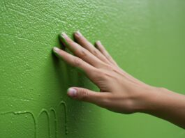 Symbolbild. Eine Hand berührt sanft eine strukturierte grüne Wand und unterstreicht die Interaktion mit lebendigen Farben in einem modernen Ambiente. Copyright: boztaga - stock.adobe.com