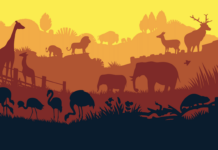 Symbolbild: Zoo world illustration background, colored silhouettes elements, flat. Copyright: sodesignby - stock.adobe.com