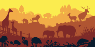 Symbolbild: Zoo world illustration background, colored silhouettes elements, flat. Copyright: sodesignby - stock.adobe.com