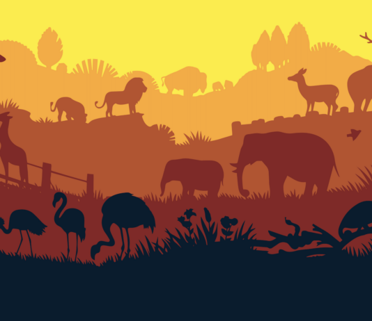 „Wir brauchen nicht nur Einhörner, sondern den ganzen Zoo“ Symbolbild: Zoo world illustration background, colored silhouettes elements, flat. Copyright: sodesignby - stock.adobe.com