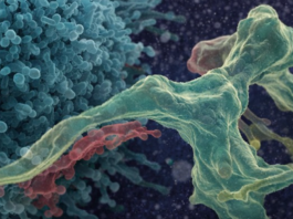 „Wir sind eine Investitionsarchitektur für langfristige Wertschöpfung“ Symbolbild. Erstellt mit ChatGPT