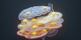 Symbolbild "Digital Twin". (AI-Powered In-Silico Clinical Trial Simulation). Copyright: Kunwer Studio - stock.adobe.com