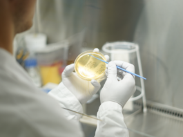 Im Labor von mbiomics. Copyright Foto: mbiomics GmbH