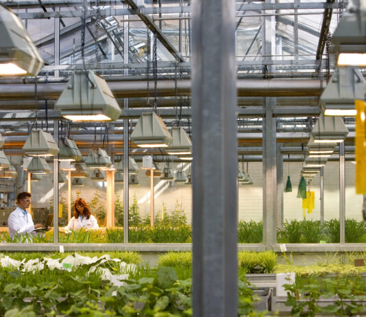 BASF plant Milliarden-IPO der Agrarsparte