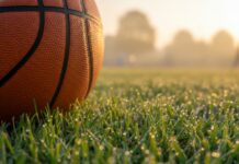 Symbolbild. Basketball resting on green grass field at sunrise. Copyright: Alex Pios - stock.adobe.com