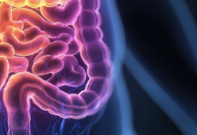 Symbolbild "Colitis Ulcerosa". Copyright: feng - stock.adobe.com