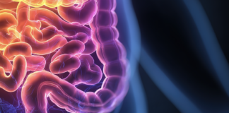 Symbolbild "Colitis Ulcerosa". Copyright: feng - stock.adobe.com