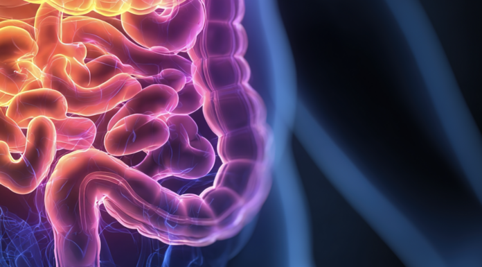 Abivax nutzt Kursrally für 600-Mio.-USD-Kapitalerhöhung Symbolbild "Colitis Ulcerosa". Copyright: feng - stock.adobe.com