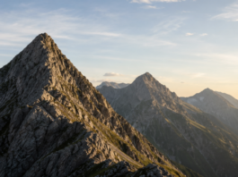Immatics: Mehr als nur SUPRAME