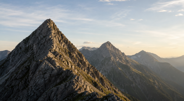Immatics: Mehr als nur SUPRAME