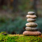 GKV-Beitragssatz-Stabilisierungsgesetz: „Die Therapie passt nicht zur Diagnose.“ Pyramid stones balance on old mossy fallen tree. Stone pyramid in focus. Forest background blurred. Copyright: Mikhail - stock.adobe.com
