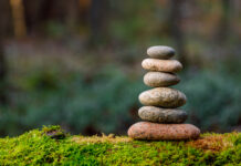 Pyramid stones balance on old mossy fallen tree. Stone pyramid in focus. Forest background blurred. Copyright: Mikhail - stock.adobe.com