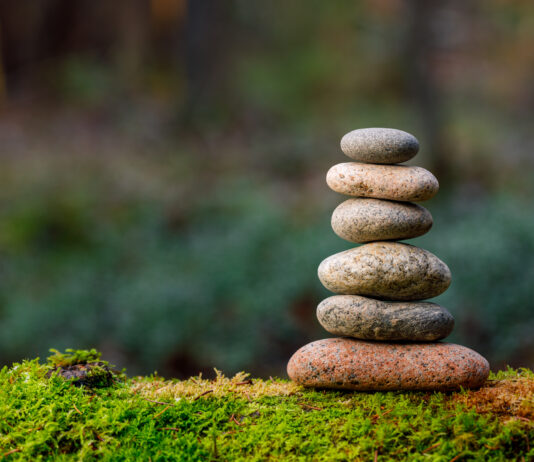 GKV-Beitragssatz-Stabilisierungsgesetz: „Die Therapie passt nicht zur Diagnose.“ Pyramid stones balance on old mossy fallen tree. Stone pyramid in focus. Forest background blurred. Copyright: Mikhail - stock.adobe.com