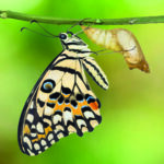 IR im Transformationsprozess der Wirtschaft